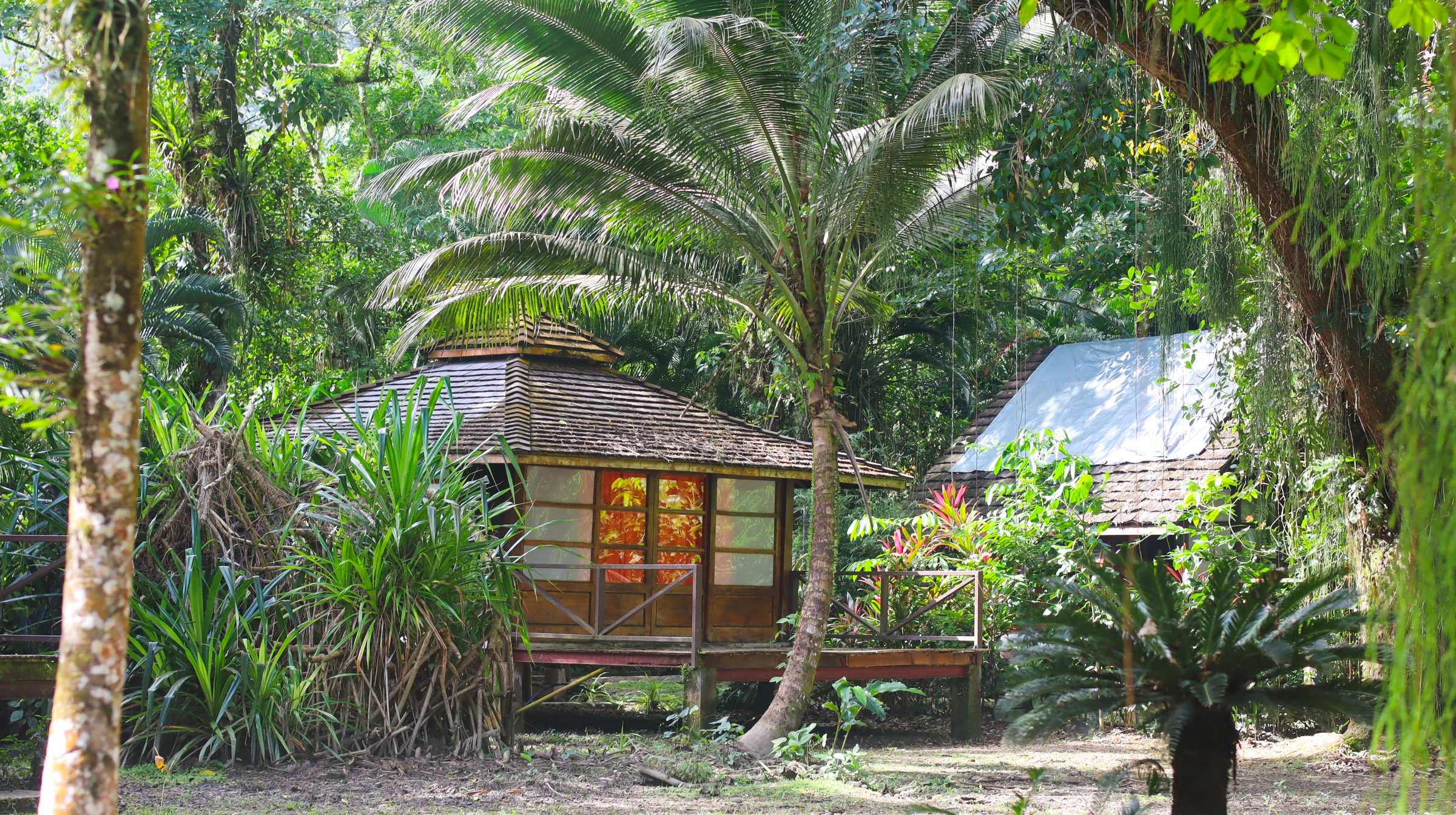 Acajou Hotel Grande Riviere: A Hidden Gem